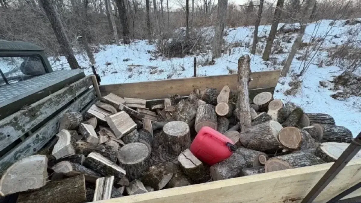 348 преступлений за год: приморские полицейские раскрыли масштаб теневой экономики