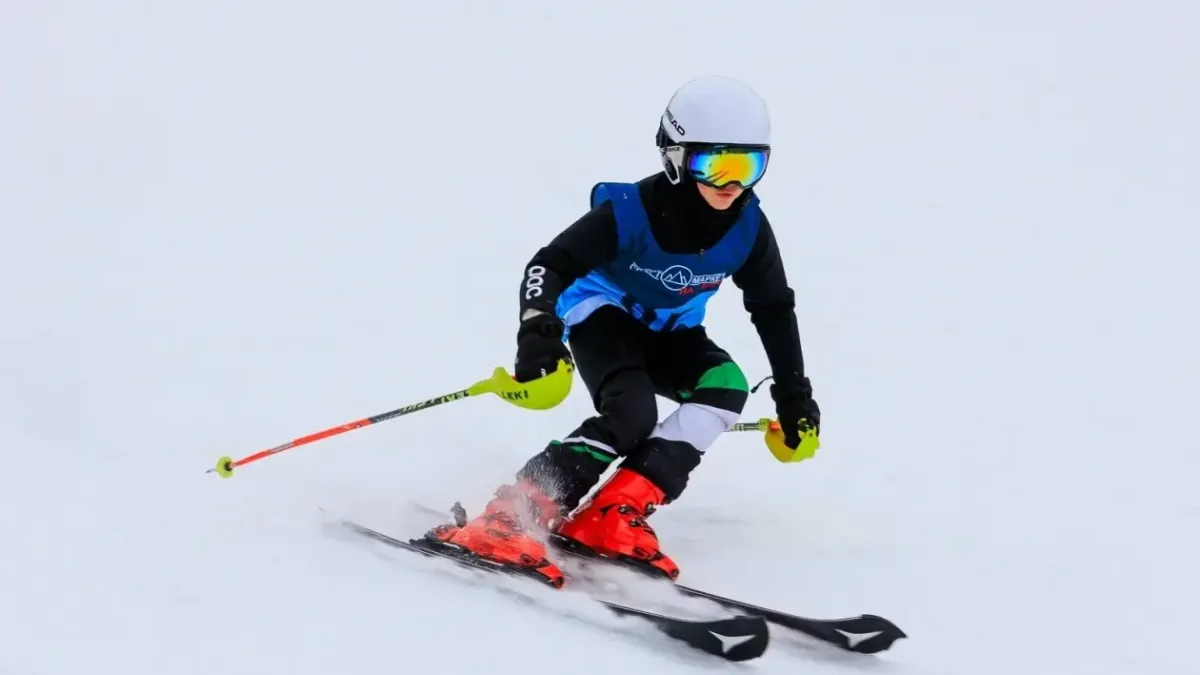 20-летнюю горнолыжную базу «Алексеевка» продают перед закрытием сезона