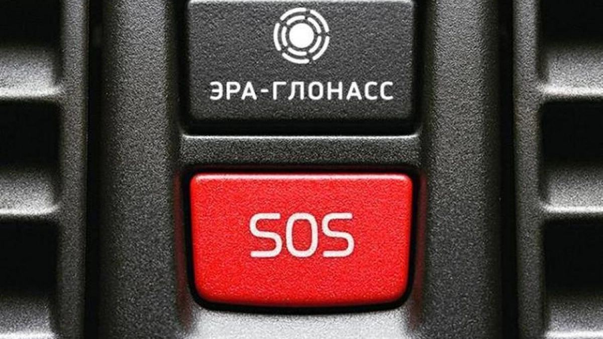 Налоговая банкротит приморского оператора «ЭРА-ГЛОНАСС» на 12,5 млн рублей