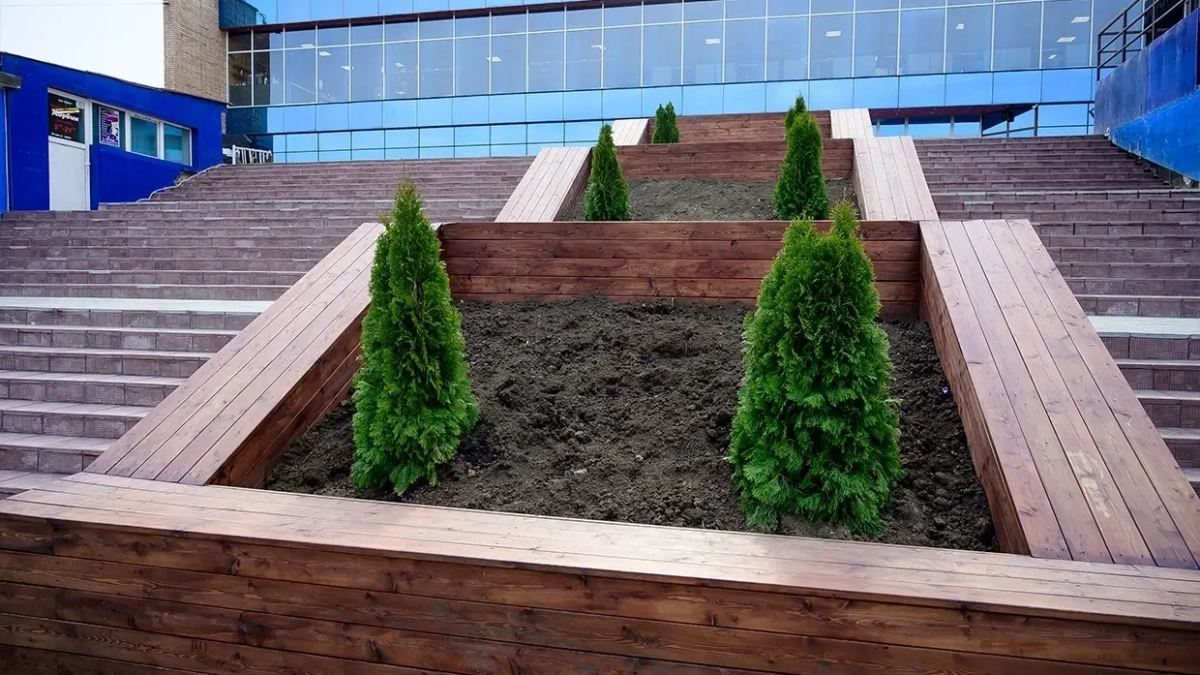 Магазин «Эдуард» у кинотеатра «Москва» могут снести за самовольную застройку