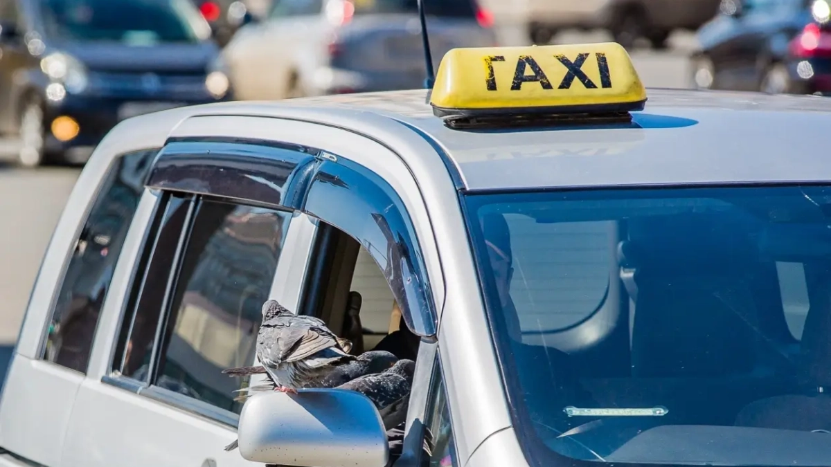 Во Владивостоке за рулём такси поймали 13 нелегальных водителей