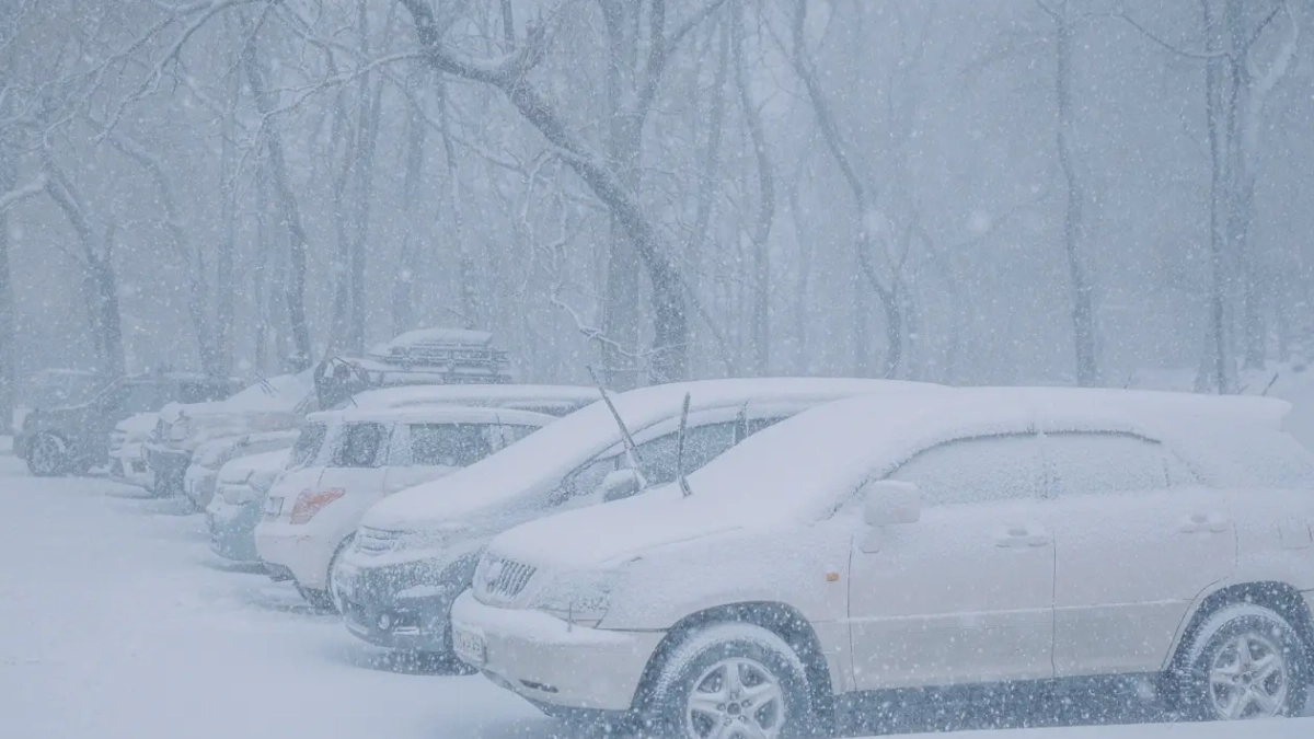 Массовое ДТП и девятибалльные пробки: циклон парализовал Уссурийск