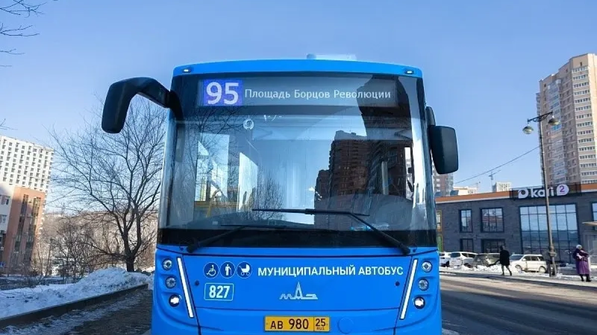 Дети атакуют камнями новые автобусы во Владивостоке: полиция ищет нарушителей