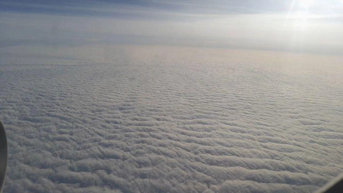 Атака БПЛА закрыла Шереметьево: пять рейсов ушли на запасные аэродромы