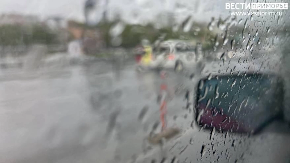 С первым днём астрономической весны в Приморье придут тепло и дожди