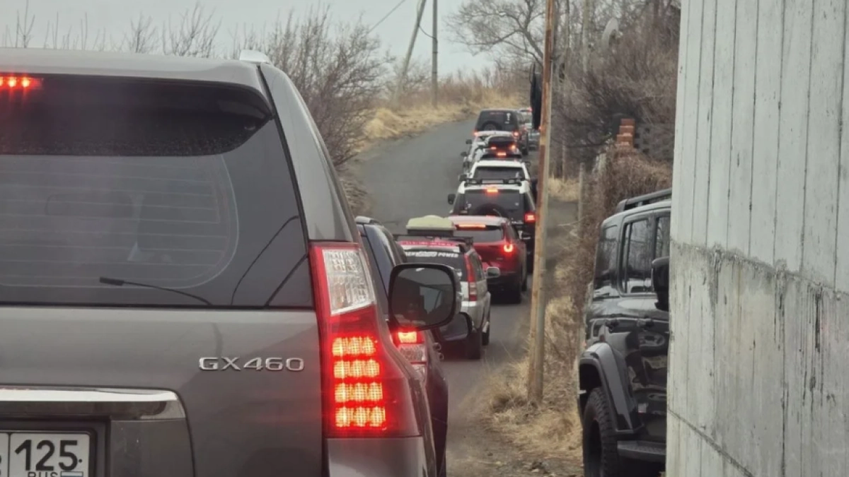 Угон льдины во Владивостоке открыл сезон сапсёрфинга и встал в пробку
