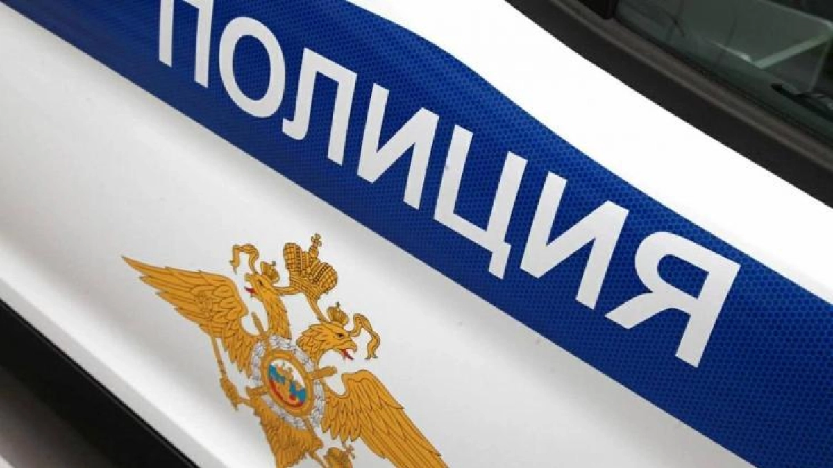 В Приморье раскрыты 348 экономических преступлений: лидирует налоговая сфера