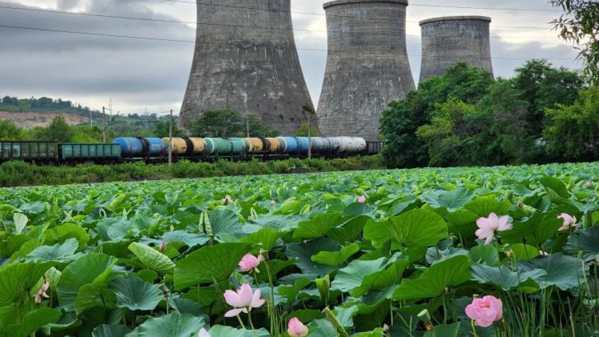 В Приморье появится АЭС: регион получит новый энергетический драйвер до 2042 года