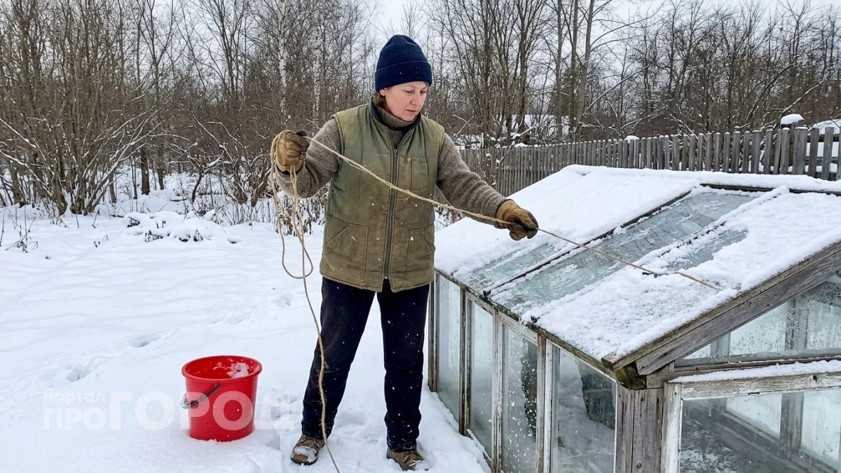 Дачники отказываются от поликарбоната: нашла замену дешевле и без грязи на стенках