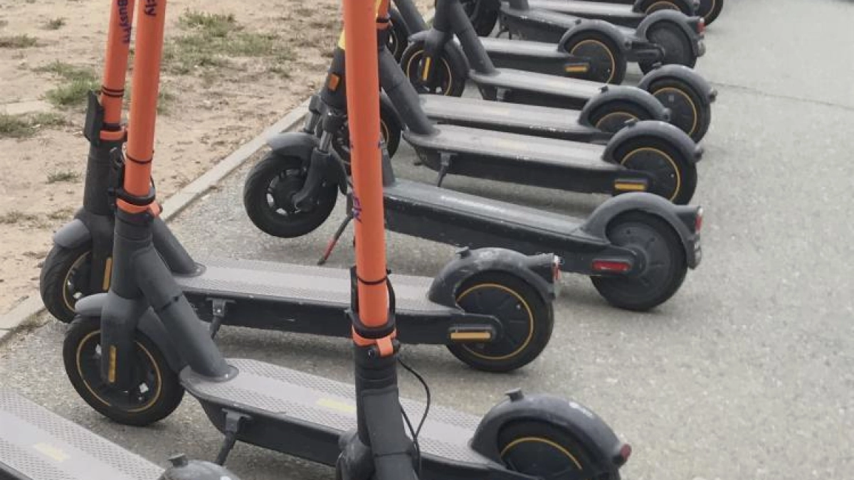 Приморские депутаты единогласно потребовали ускорить штрафы для самокатчиков