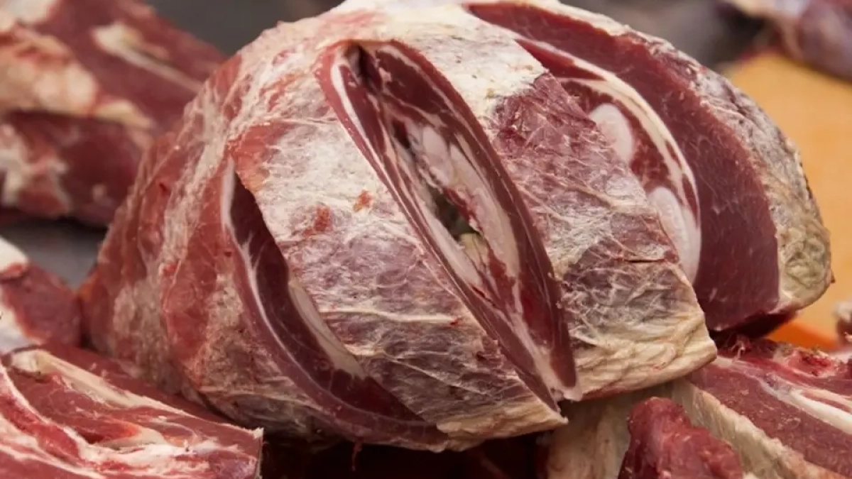 В Приморье изъяли 11 тонн мяса буйвола с превышением нормы ветпрепарата