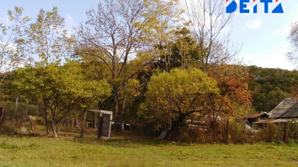 Приморье унифицировало нормы бесплатных земельных участков для льготников