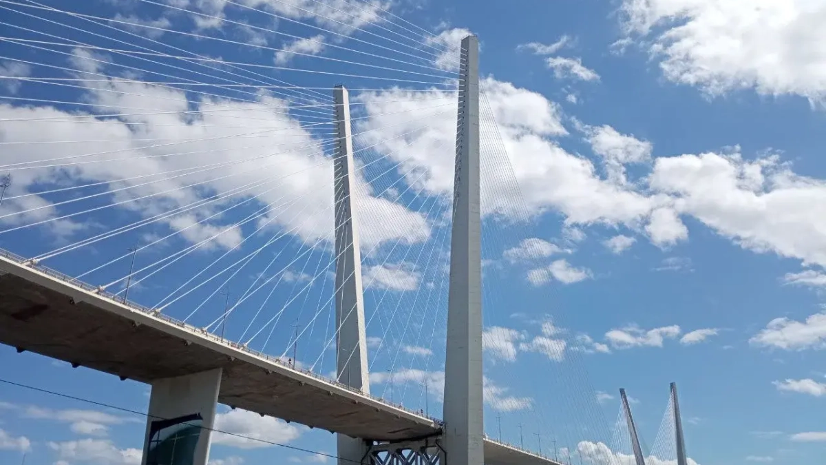 Приморье снизит налоги для ветеранов СВО, открывающих бизнес, в шесть раз