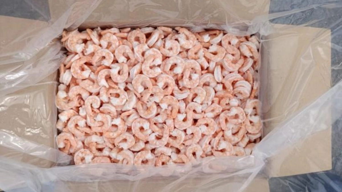 Почти 29 тонн креветок задержали во Владивостоке из-за нарушения маркировки