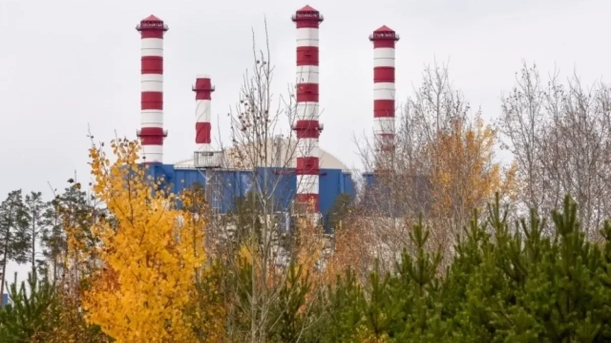 «Росэнергоатом» выбрал место для АЭС под Уссурийском у реки Раздольная