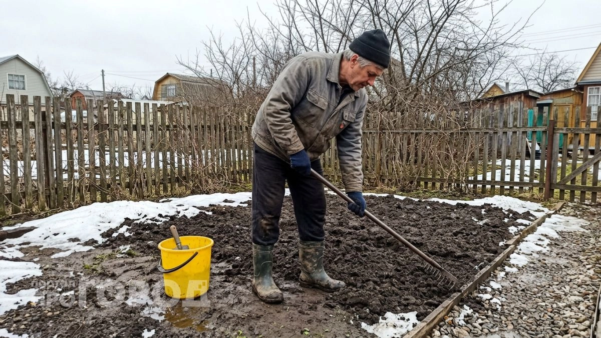 Превратил запущенный пустырь в ровный зелёный ковёр за 4 недели — потратил всего 2 тысячи рублей на семена
