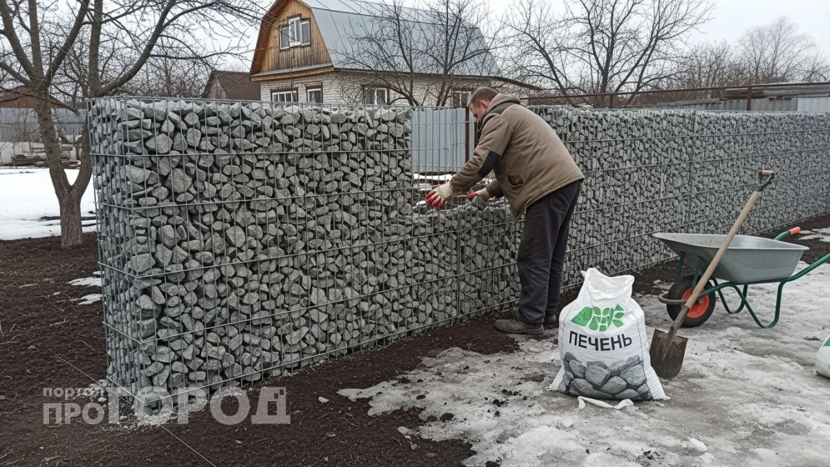 Поставил на даче забор из 6 материалов вместо профлиста — вышло тише, красивее и уложился в тот же бюджет