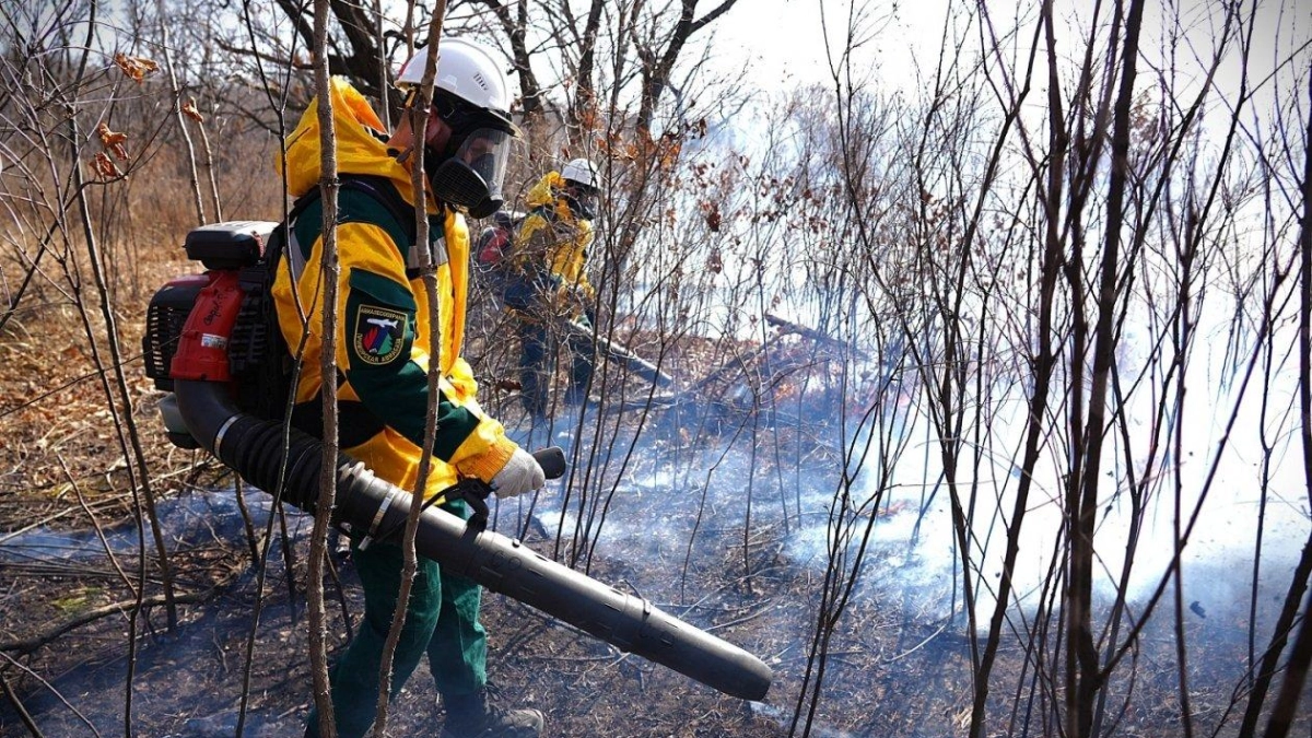 22 пожара за сутки в Приморье: 21 потушен, один на землях Минобороны не сдаётся