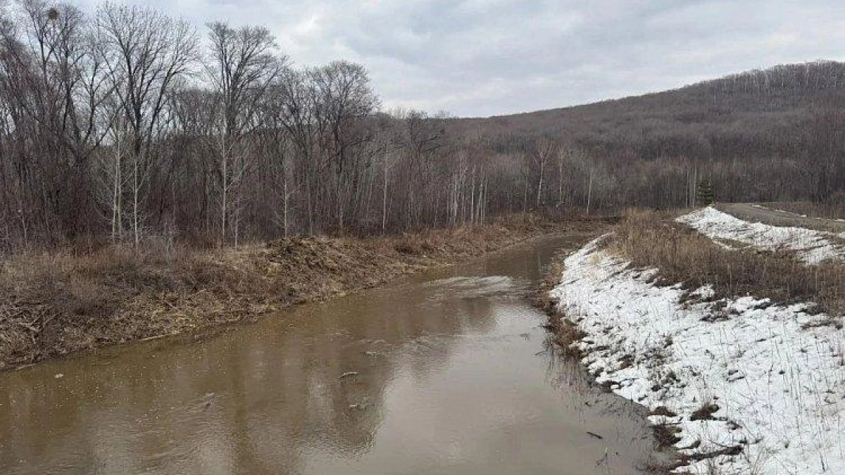 В Приморье строят дамбы и расчищают канавы: три села получат защиту от паводков в 2025 году