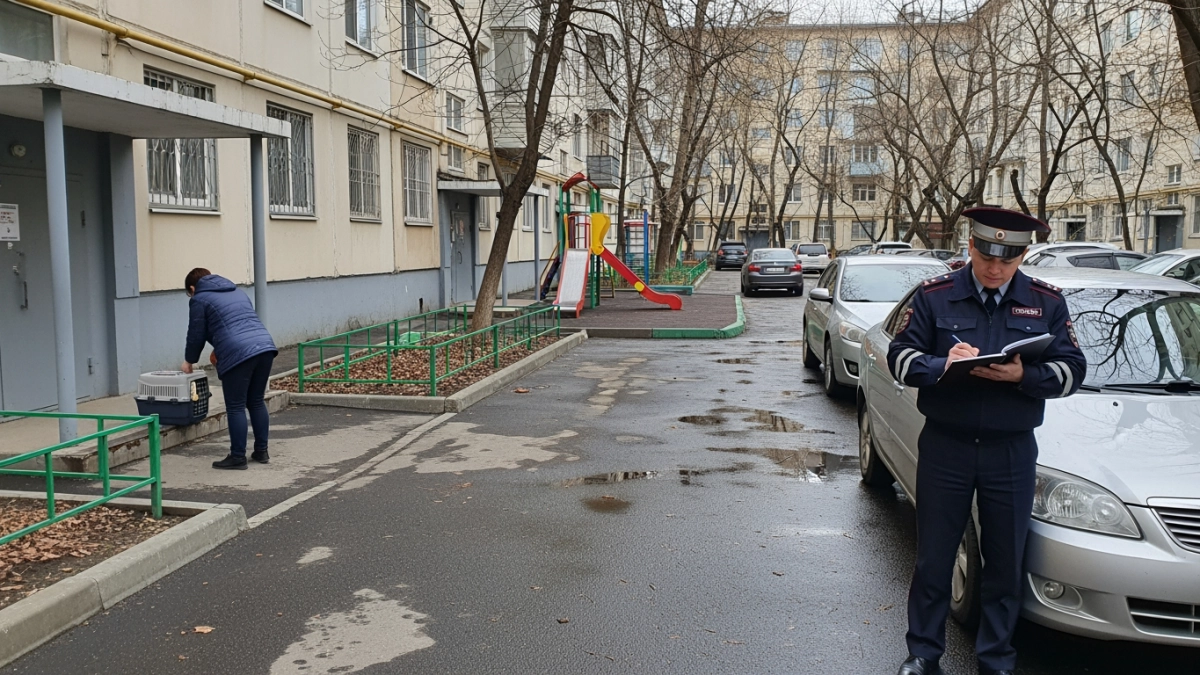 Стаффордширский терьер без намордника покусал женщину и её собаку во Владивостоке