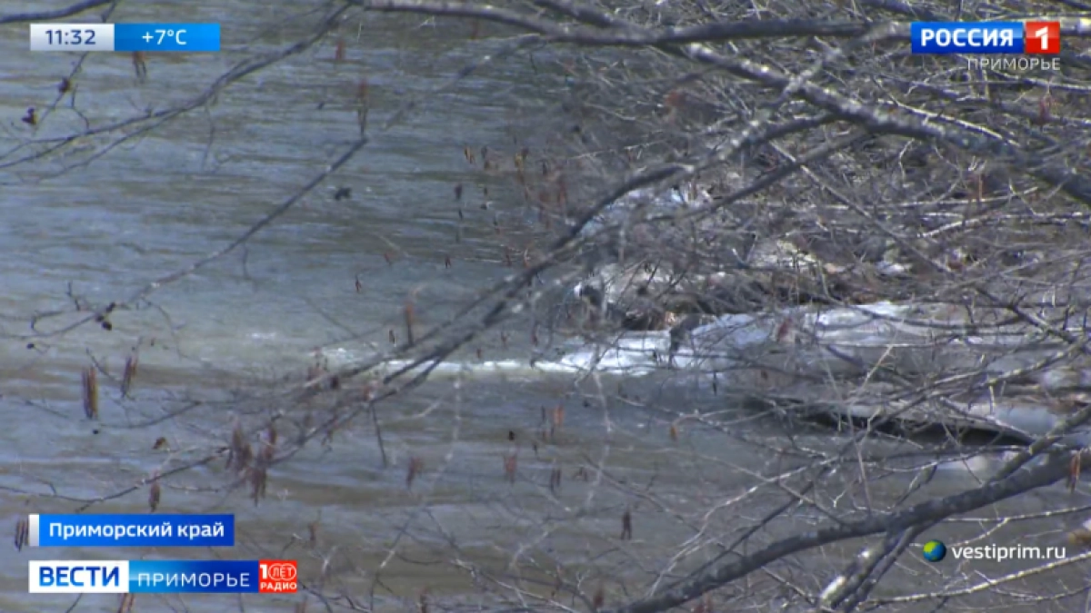 Реки в Приморье могут выйти из берегов: пять районов под угрозой подтопления