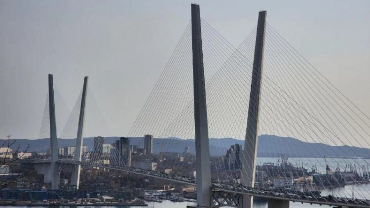 Россельхознадзор задержал 2 тонны китайского говяжьего коллагена во Владивостоке