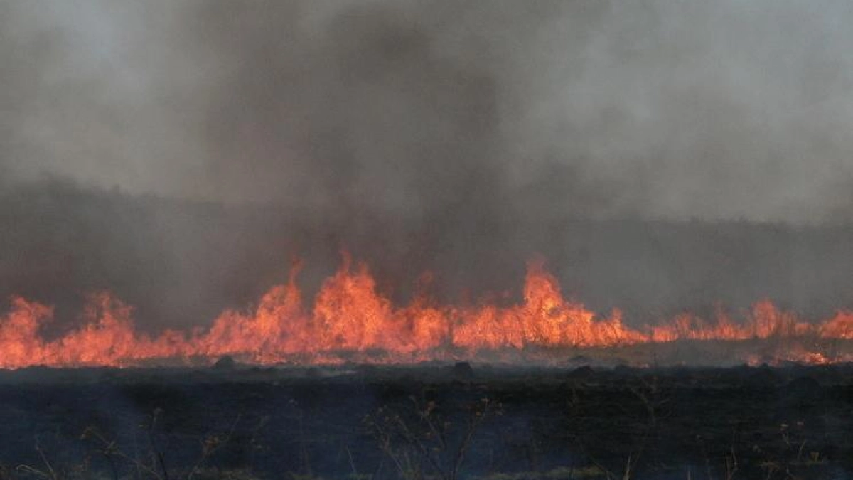 Дым от горящих полей парализовал трассу Уссурийска: уже есть ДТП