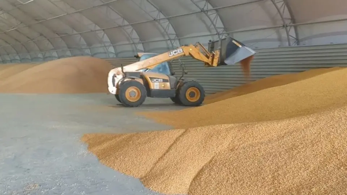 Приморье экспортировало 185 тысяч тонн зерна: Корея и Китай — главные покупатели
