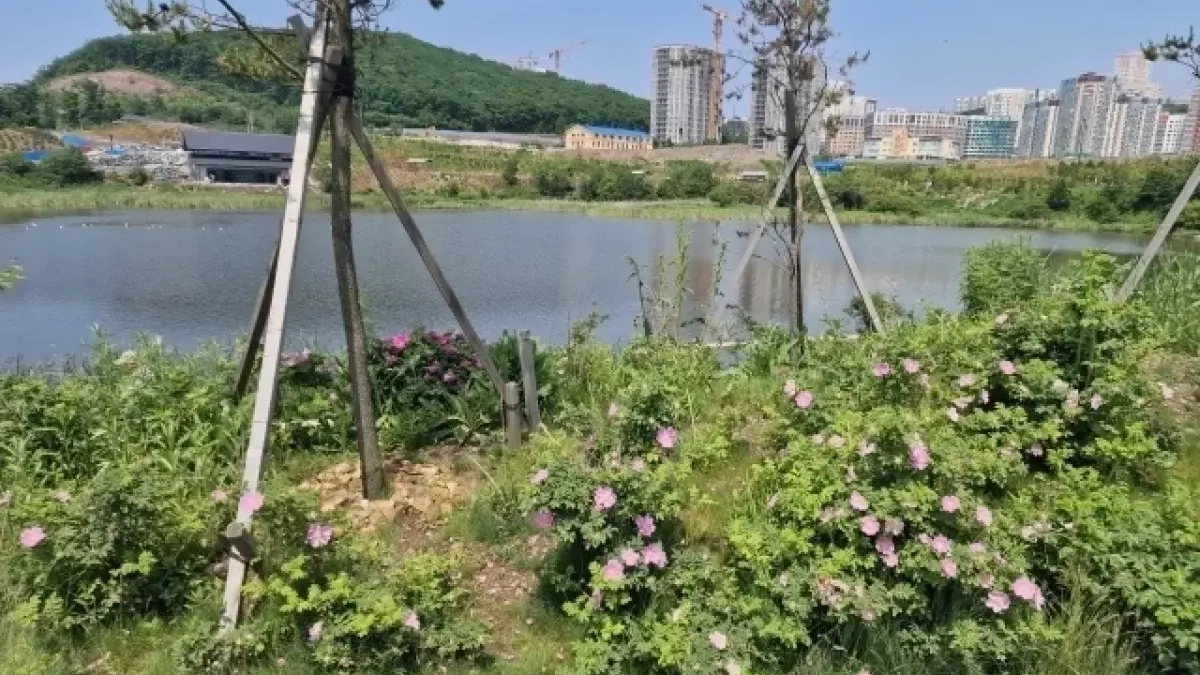 Студенты исследуют реликтовое озеро Безымянное на Патрокле