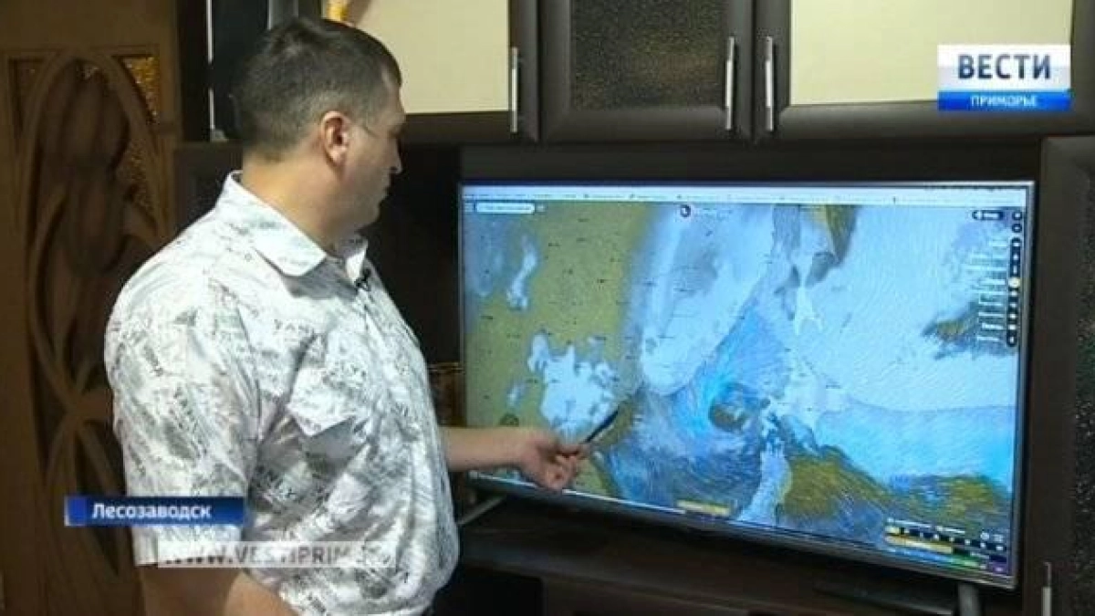 Приморский метеоблогер раскрыл схему взлома через голосование за детский рисунок