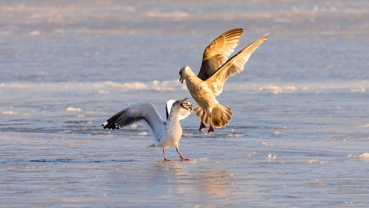 После циклона в Приморье наступает тепло: до +12 градусов уже сегодня