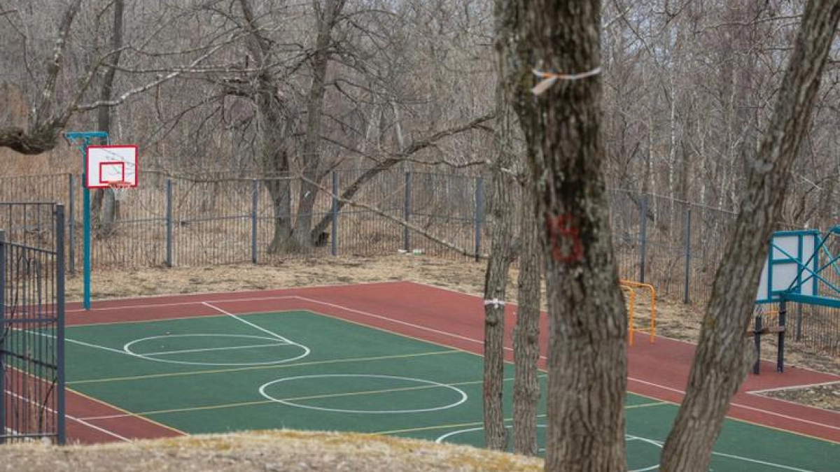 Шахматный класс и теплица появятся в школе у бухты Щитовая во Владивостоке