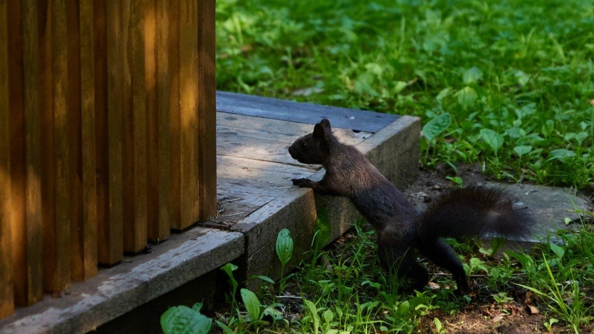 Противочумную станцию в Уссурийске реконструируют за 1,7 млрд рублей к 2028 году