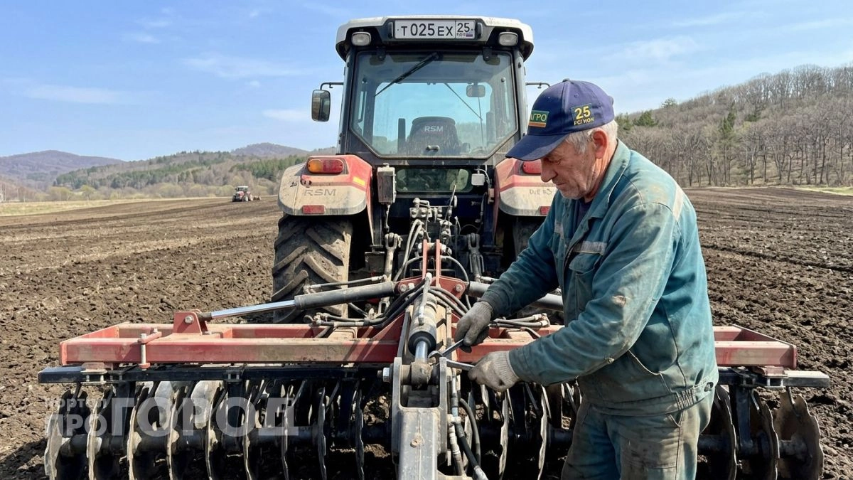 Вошли в топ-30: сколько получают жители в маленьких городах Приморья - не все так плохо