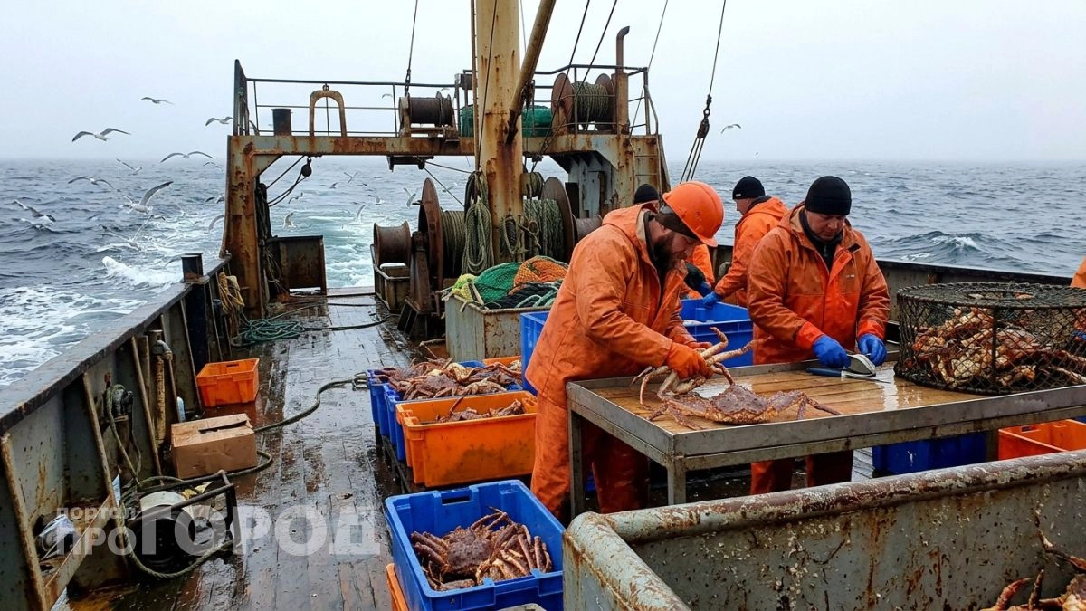 Снабжаем не только крабом, но и сладостями и полезными ископаемыми: что производят в Приморье на всю страну