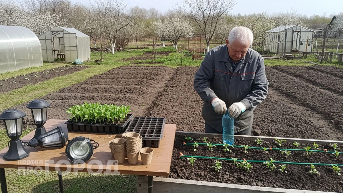 Перестала мучиться с грядками: 8 дачных новинок 2026 года избавили меня от болей в спине и усталости в теле
