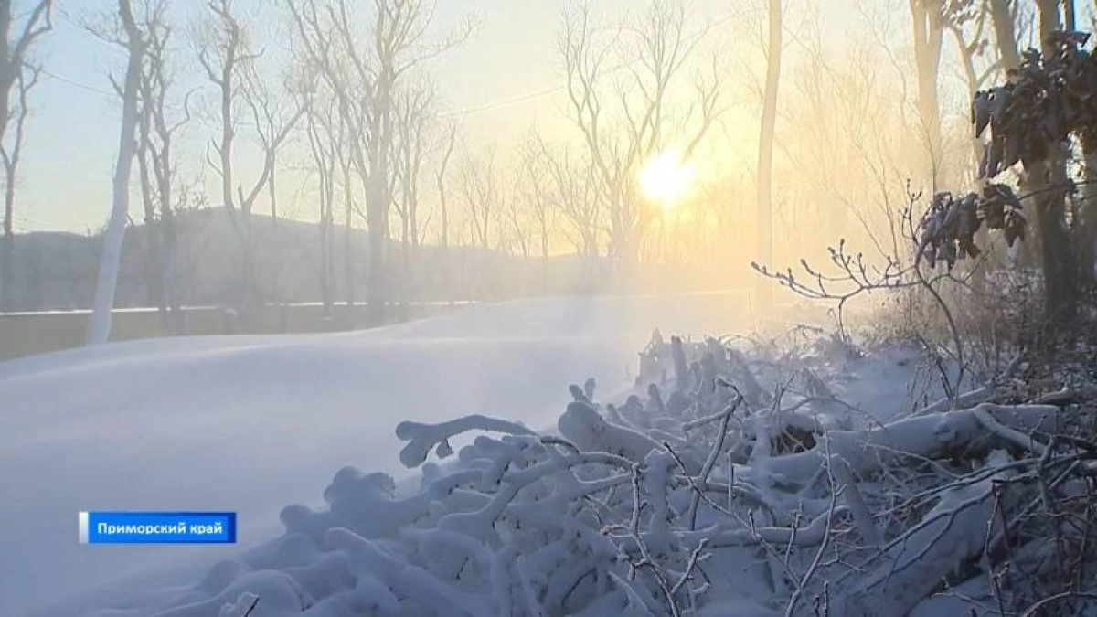 Снег до 10 см: четыре района Приморья чистят дороги после циклона