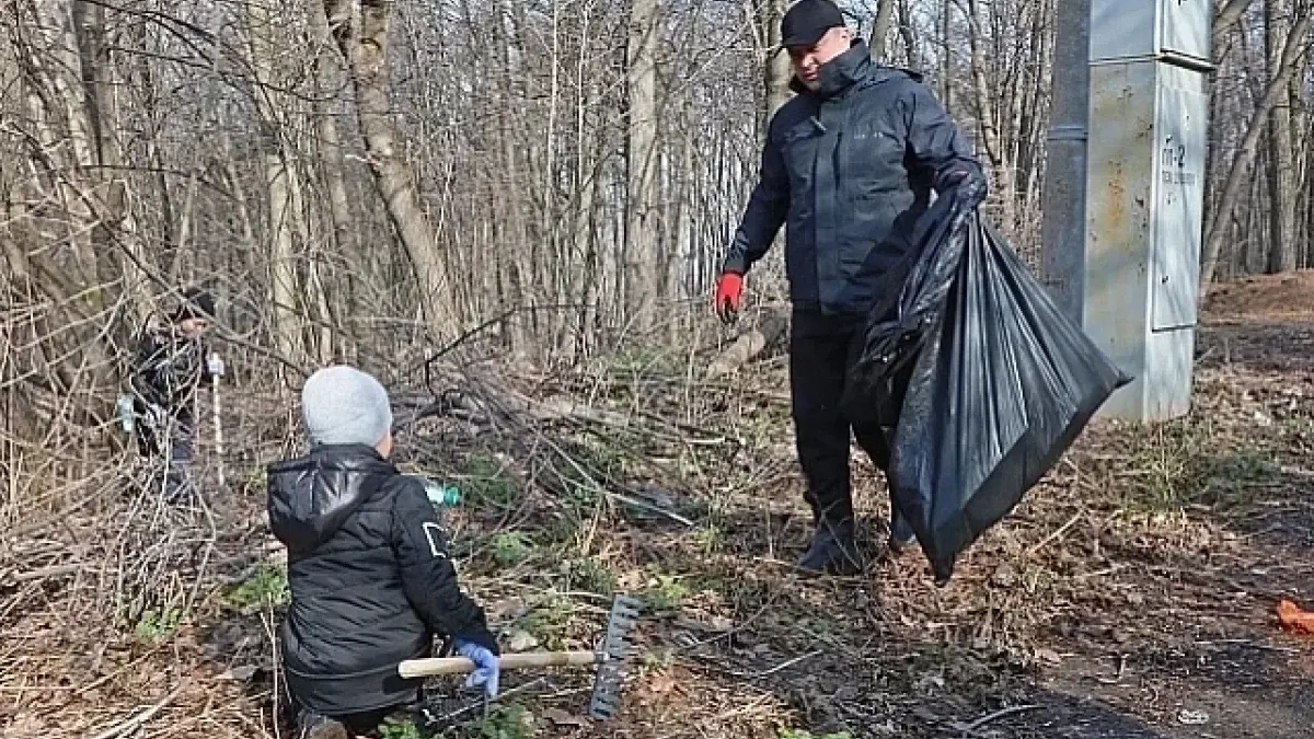 ПЭО принимает мусор с субботников по спецпропускам с 17 апреля