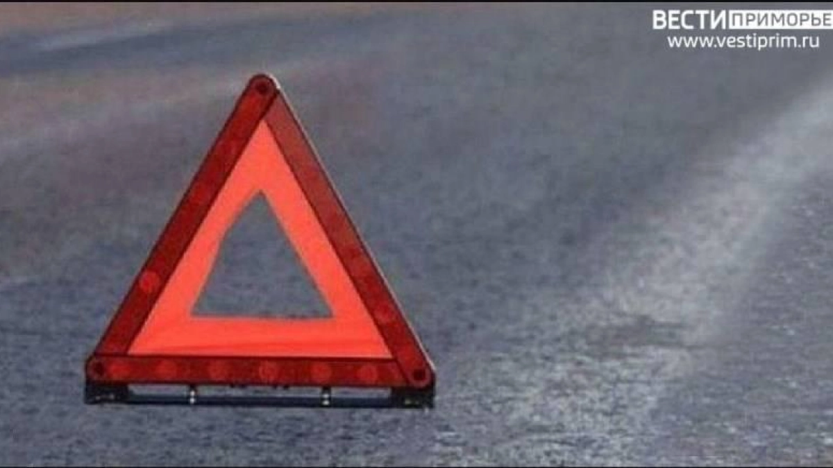 В Находке 24-летняя автомобилистка сбила пешехода: мужчина в реанимации