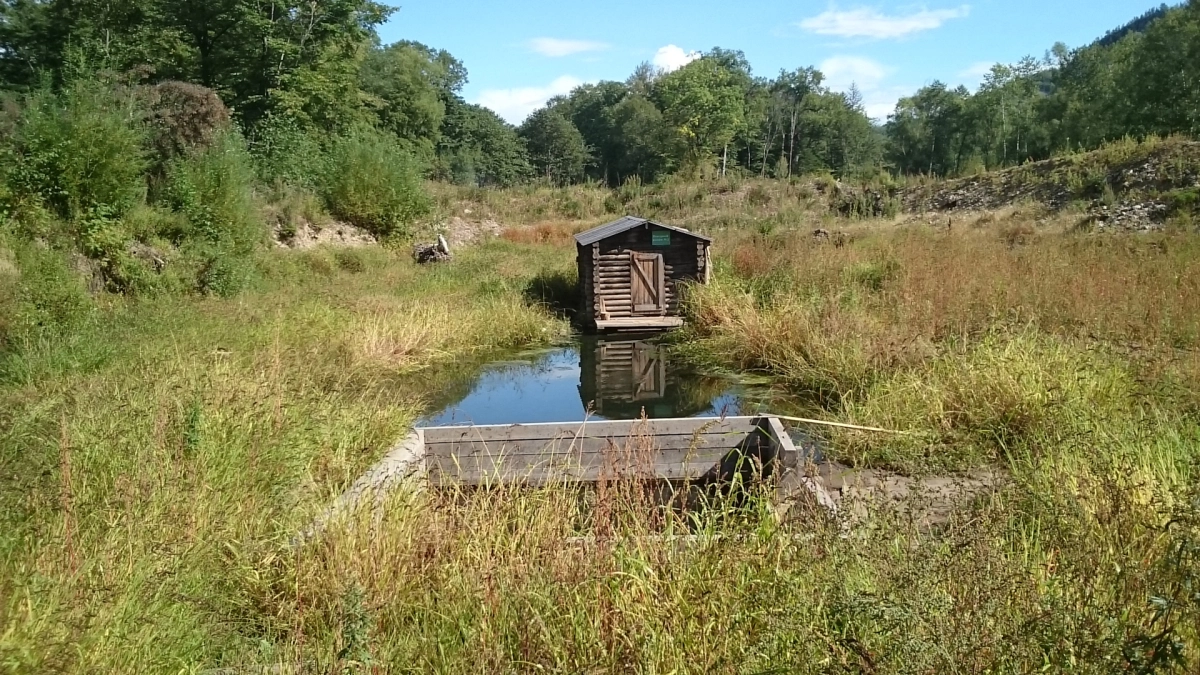 Живая вода Приморья: где найти источники, которые лечат суставы, кожу и нервы