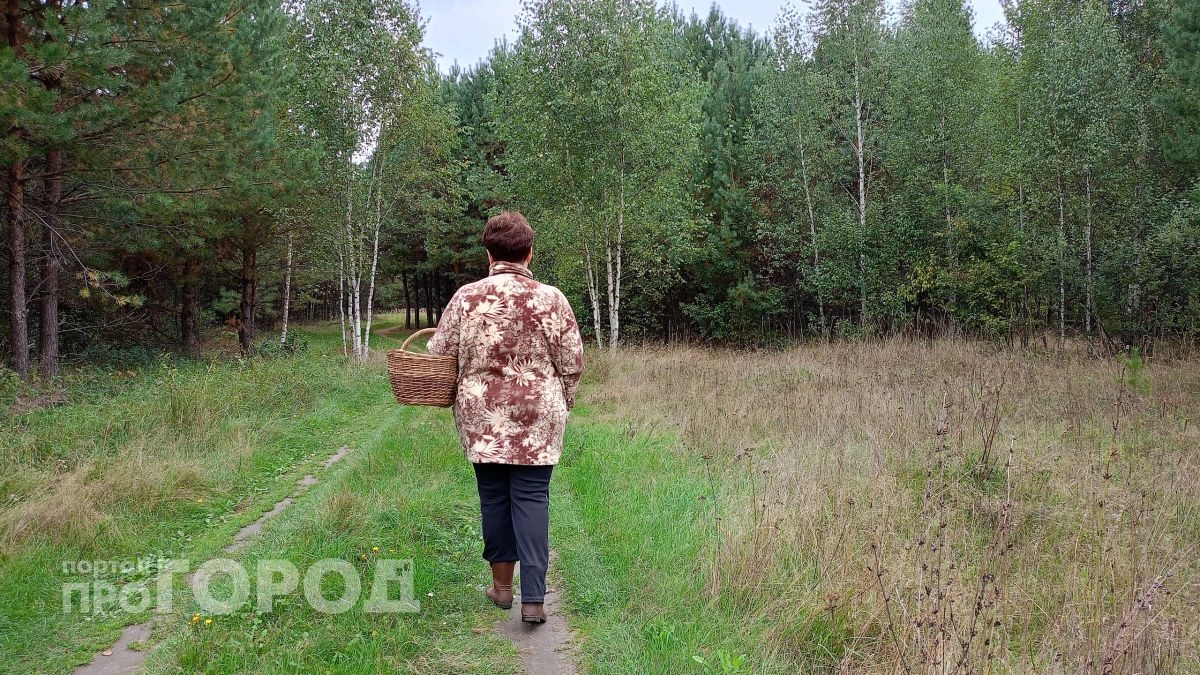 Корзину в руки: лучшие грибные места Приморья, которые должен знать каждый