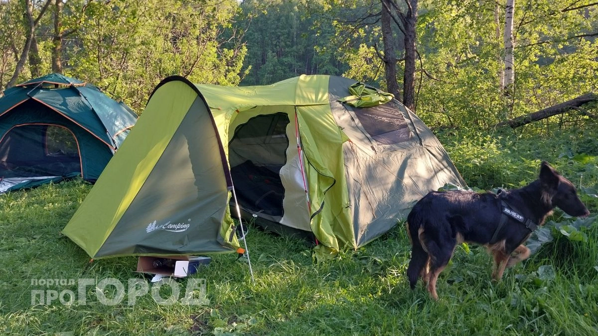 Платно или бесплатно: лучшие палаточные локации Приморья к лету