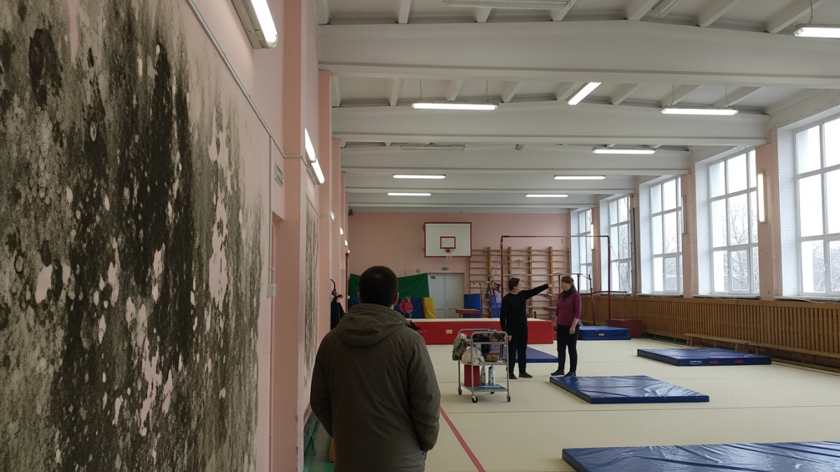 Плесень, битая посуда и осыпающийся фасад: родители пожаловались в прокуратуру