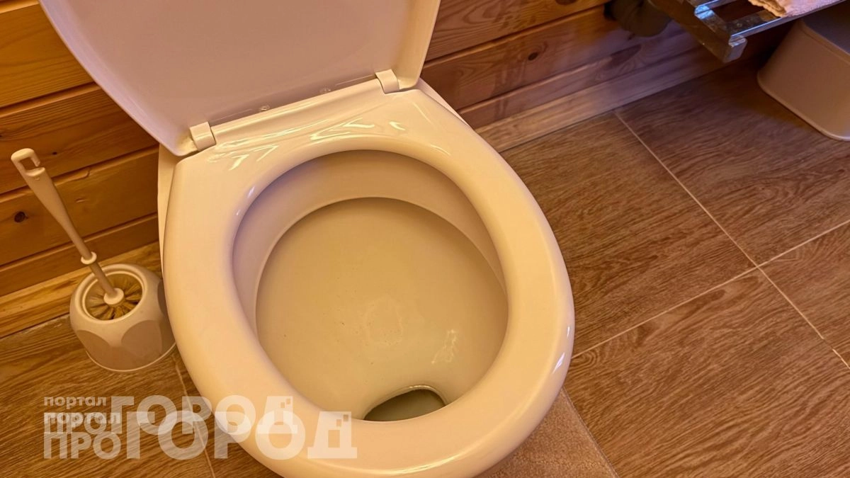 Хватит тереть унитаз и чайник до боли в руках: копеечное средство растворяет весь известковый налет за одну ночь