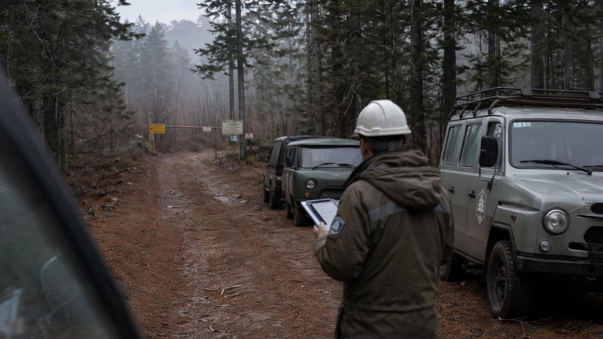 Учредитель лесопредприятия в Приморье получил 7,5 лет за взятку чиновнику