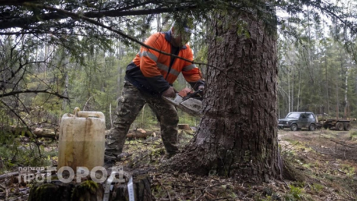 5 критически важных профессий в Приморье, за которые платят сущие копейки