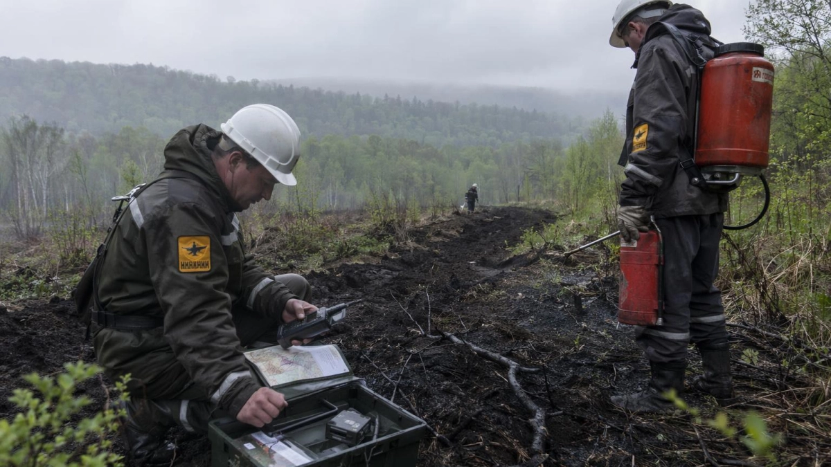 Девять пожаров на 543 га потушили в Приморье за выходные