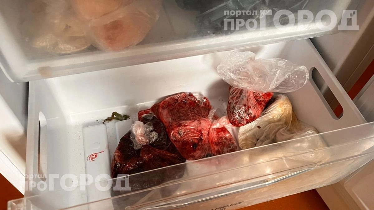 Вы рискуете здоровьем: проверьте сроки хранения разных видов мяса в морозилке прямо сейчас по этой таблице