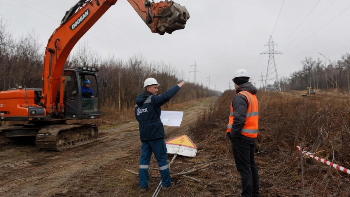 20 нарушений за четыре месяца: в Приморье атакуют линии электропередачи