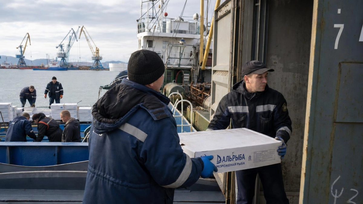 Россельхознадзор оформил 892 партии рыбы — объём вырос вдвое за неделю